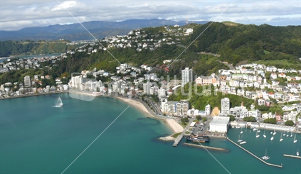 Oriental Bay, Wellington from the air, New Zealand