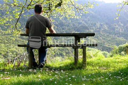 Man sitting at rural picnic table in evening New Zealand sun