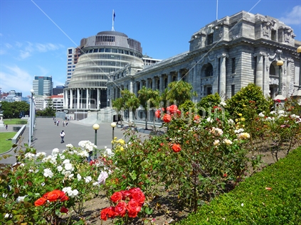 Old Parliament Building and Beehive, Wellington, New Zealand - with flowering rose garden in foreground