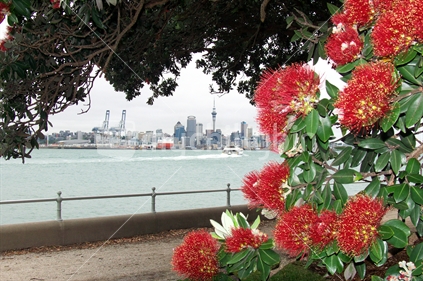 Looking through Pohutukawas in Devnport, towards Auckland's CBD and skytower, with ferry in the midground.