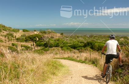 Man mountain biking along track on Kapiti coast