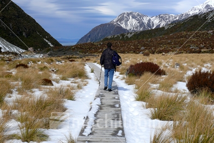 Walking back towards The Hermitage from the Hooker Valley, Mount Cook