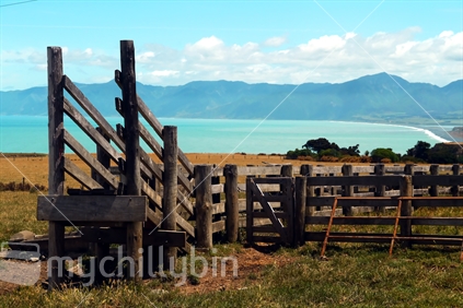 Cattle pens overlooking South Wairarapa