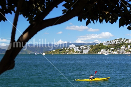 A lone kayak on Wellington Harbour