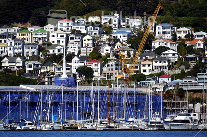 Houses, apartments and yachts in Oriental Bay, Wellington. 