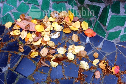 Leaves blown onto mosaic path