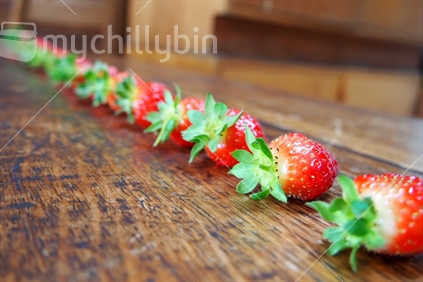 A line of freshly picked strawberries