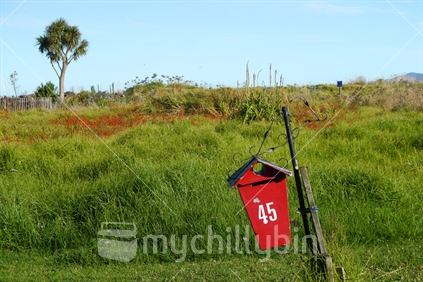 Red letterbox with cabbage tree in background