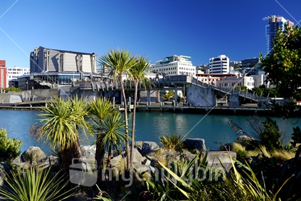 Frank Kitts Park and lagoon, Wellington CBD