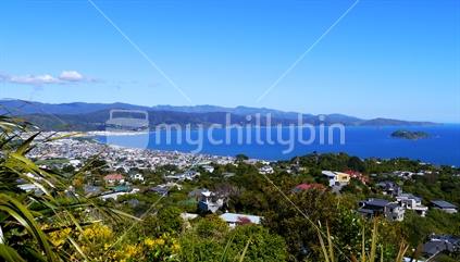 Looking down to Petone and across to Eastbourne, Wellington