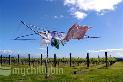Towels drying on clothesline on vineyard