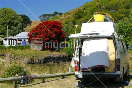Pohutukawa tree in full bloom with campervan in foreground