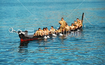 canoe, carved, Cricket World Cup, feather, males, Maori, Maori watercraft, men, ornate, paddle, paddlers, people, powhiri, reflection, rowing, sea, symbol, symbolic, tradition, traditional, waka, war canoe, water, welcome, Wellington, wood, wooden, red, flat calm, Wellington harbour, safety, Cricket World Cup