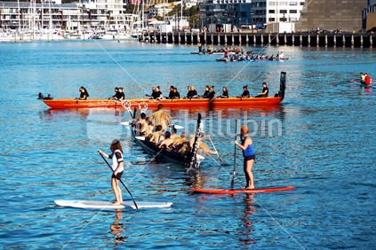 Paddle boarders with two waka in Wellington Harbour