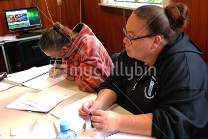 Adult Pacifica students studying at a Polytechnic