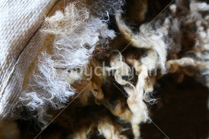 Closeup of wool in a bale