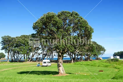 Campground in the Bay of Plenty