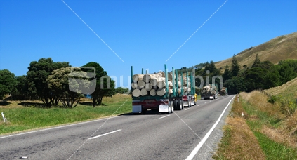 Three logging trucks travelling an East Coast road