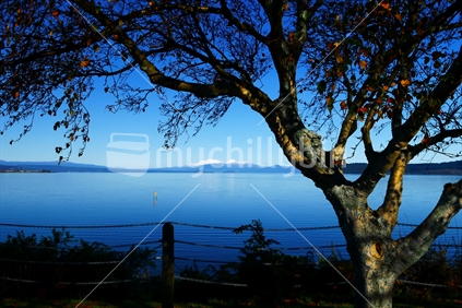 Lake Taupo in autumn