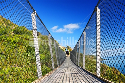 Swing bridge on the Te Araroa Trail