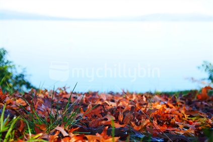 Lake Taupo in autumn