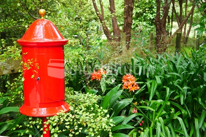 Canna lillies and bright red letterbox