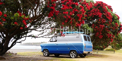 Retro campervan under blooming pohutukawa