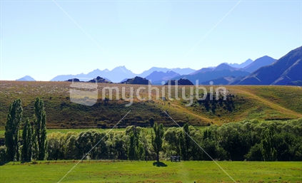 View of Molesworth  Stations pasture and mountains