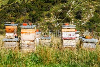 Beehives in the Otago countryside