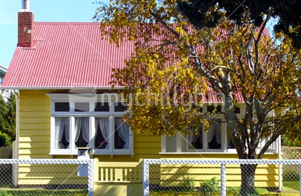 Yellow cottage with native Kowhai tree