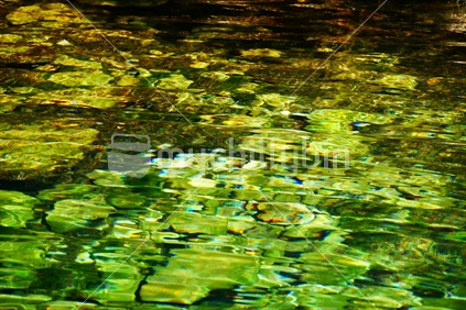 Reflections in clear spring water