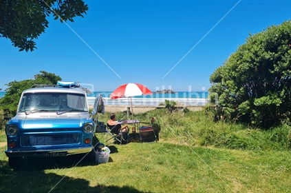 Campervan nestled amongst trees by the coast.