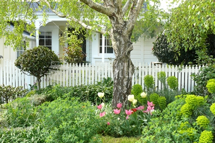 Cottage and garden