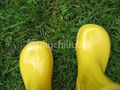 Yellow gumboots walking in green grass