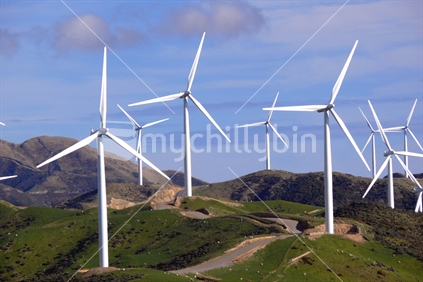 Wind Farm, Makara, Wellington, New Zealand