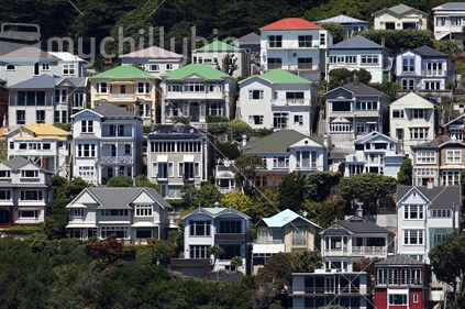 Houses and apartments in Oriental Bay, Wellington. 