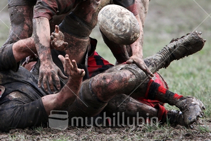 A rugby player is tackled. (Note: This image at 2658 x 1772 pixels is smaller than the normal mychillybin minimum image size). 