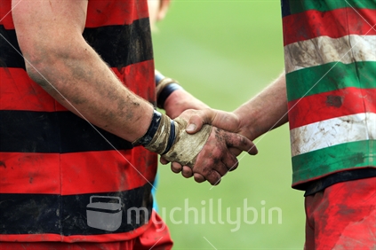 Rugby players shake hands.