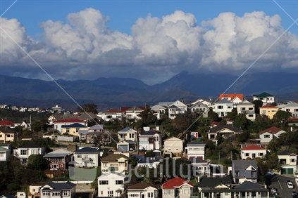 A general view of residential homes in Hataitai, Wellington