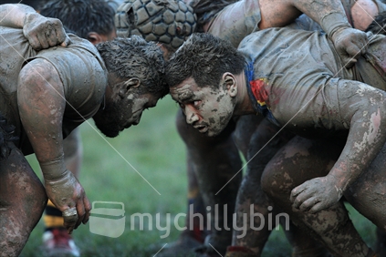 Players form a scrum during a rugby game in Wellington
