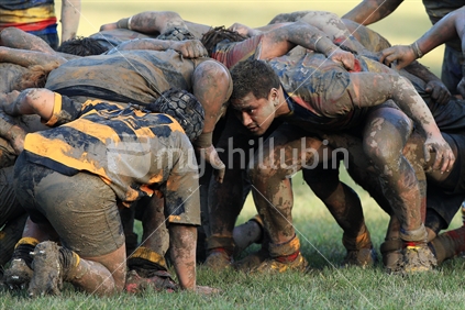 Players form a scrum during a rugby game in Wellington