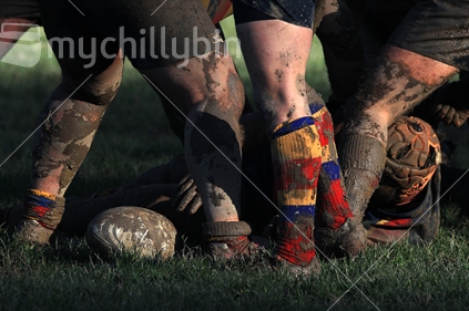 The ball is placed in a ruck during a rugby game in Wellington.
