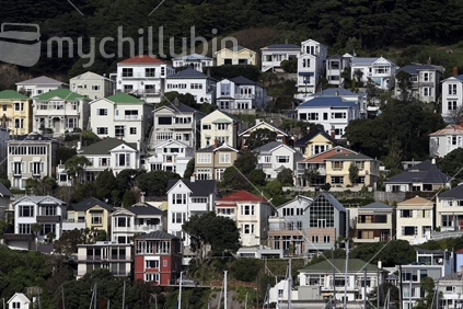 Houses and apartments in Oriental Bay, Wellington