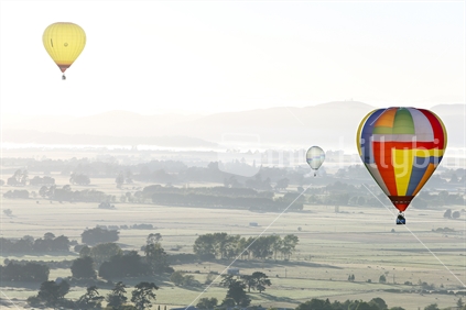 Balloons fly over Wairarapa farmland.