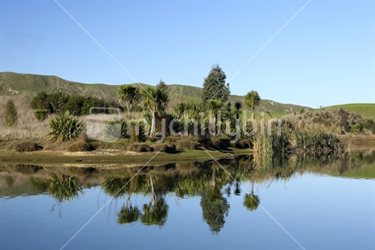 Trees are reflected in a lake in southern Hawkes Bay