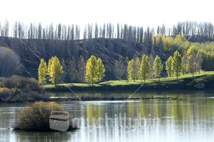 Trees are reflected in a lake in southern Hawkes Bay