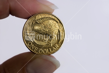 New Zealand currency - 1 dollar coin