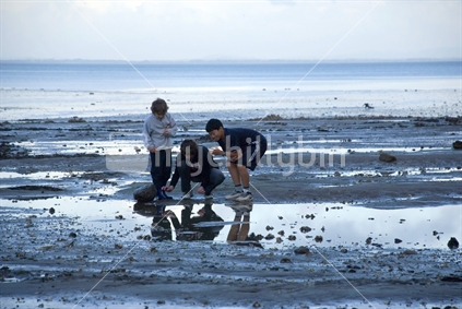 Three boys searching for crabs in low tide rock pools