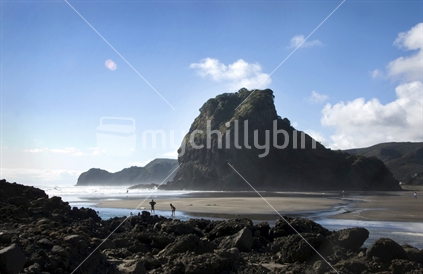 Lion Rock at Piha beach in west Auckland
