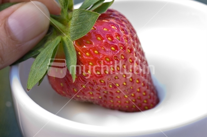 Strawberry dipped in yogurt